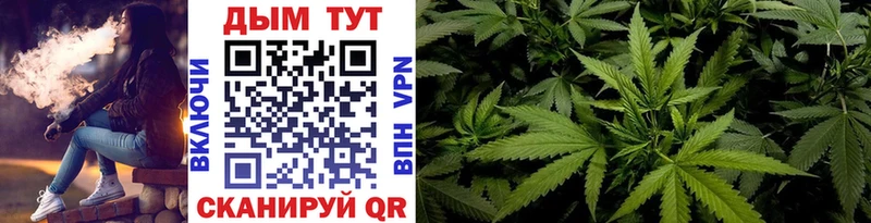 Купить  Кулебаки  МАРИХУАНА SATIVA & INDICA 